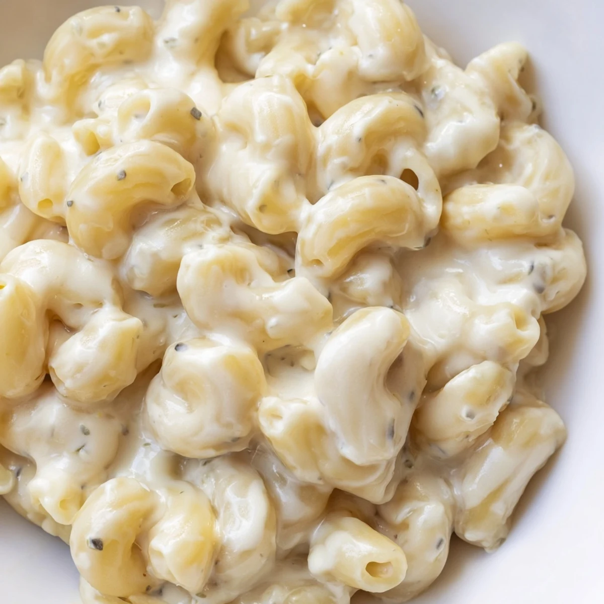 Baked elbow pasta in rich herbed Boursin cheese sauce bubbling in a white dish
