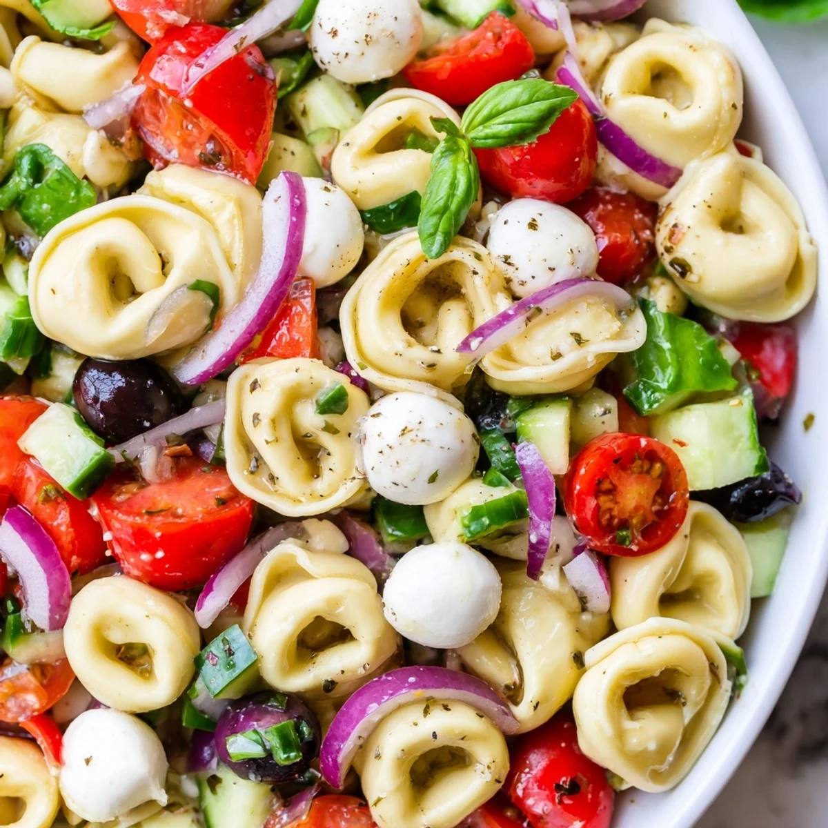 Colorful tortellini salad with cherry tomatoes, cucumber, and mozzarella tossed in zesty Italian dressing